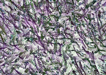 N 012B